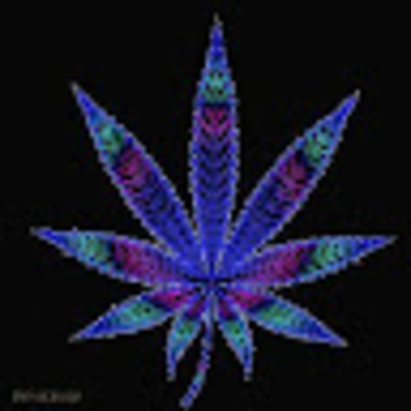 Meet your Posher, Kirra - Picture 1 of 1